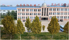 youshi1.jpg