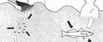 中毒控制中心和水俁病